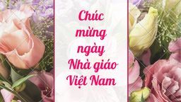 Chúc mừng ngày Nhà giáo Việt Nam 20/11