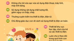 Trường TH Phan Chu Trinh khuyến cáo 7 lưu ý khi cho trẻ sử dụng thiết bị điện tử học trực tuyến tại nhà