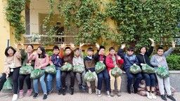 Giải cứu khoai lang - Chung tay vì ngày mai tươi sáng!