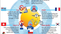 Thế giới bảo vệ môi trường, chống rác thải nhựa như thế nào?