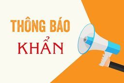 Thông báo về việc điều chỉnh hình thức tuyển sinh trực tiếp của trường Tiểu học Phan Chu Trinh