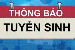 Trường TH Phan Chu Trinh thông báo tuyển sinh trực tiếp lớp 1 năm học 2021 - 2022