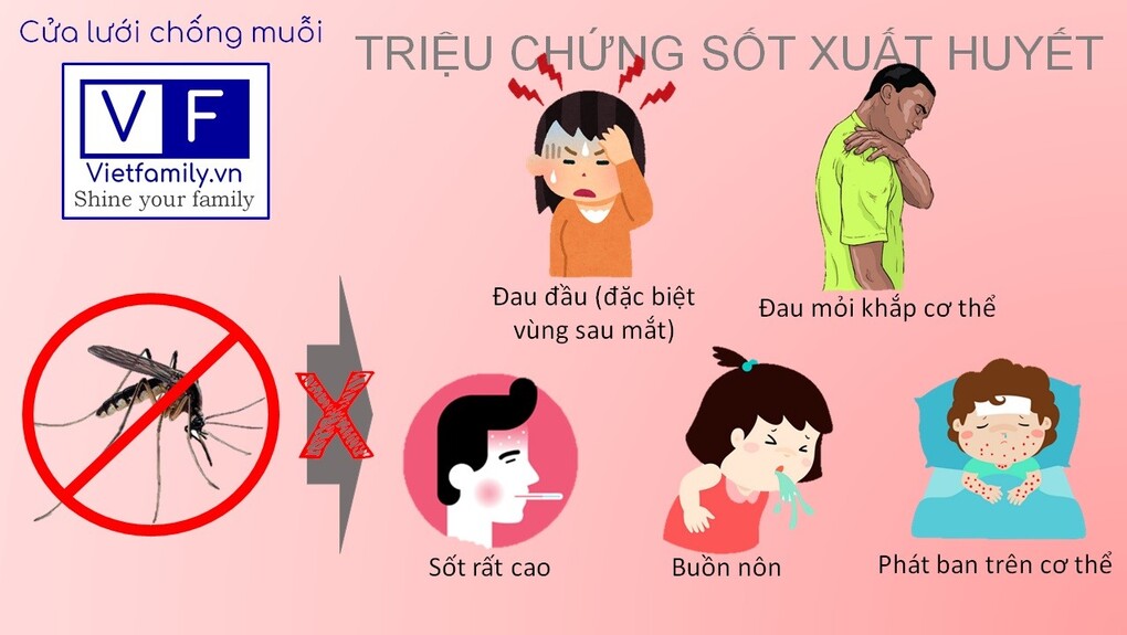 Những điều cần tránh khi bị sốt xuất huyết