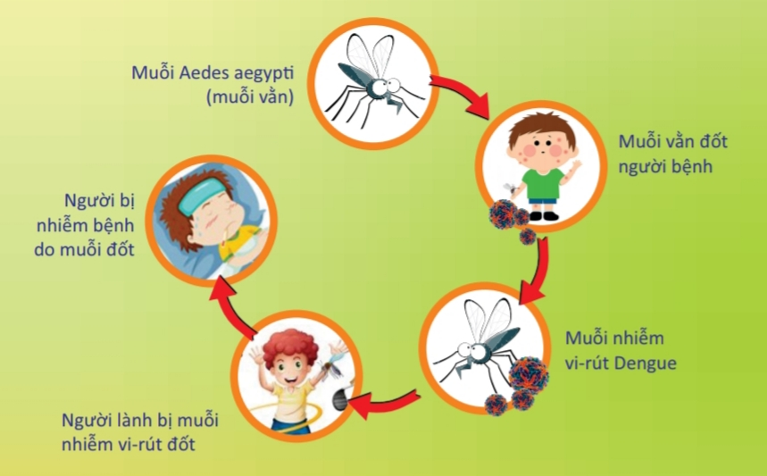 Bài tuyên truyền phòng chống dịch bệnh sốt xuất huyết