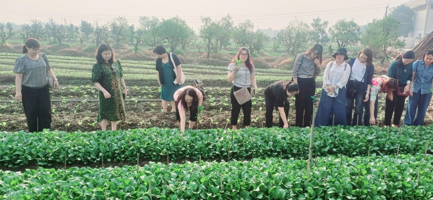 Trường Tiểu học Phan Chu Trinh với công tác đảm bảo vệ sinh an toàn thực phẩm cho bữa ăn bán trú của học sinh đầu năm học 2024 - 2025