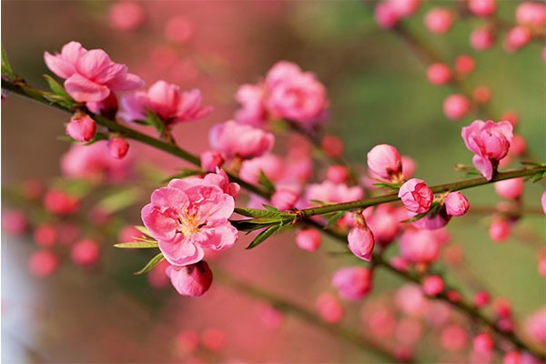 Câu chuyện dành cho học sinh lớp 1