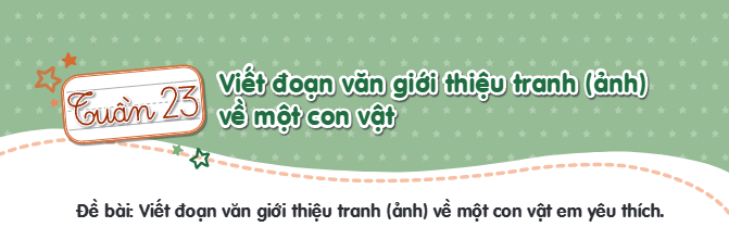 Tìm hiểu cách viết đoạn văn giới thiệu tranh (ảnh) về một con vật em yêu thích