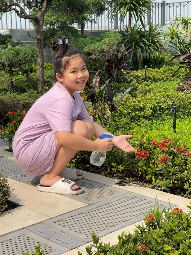 C:\Users\Administrator\Pictures\tết trồng cây 4D\13.jpg