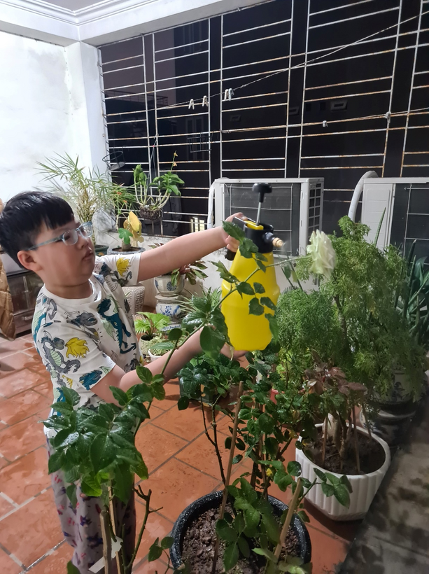 C:\Users\Administrator\Pictures\tết trồng cây 4D\1.jpg