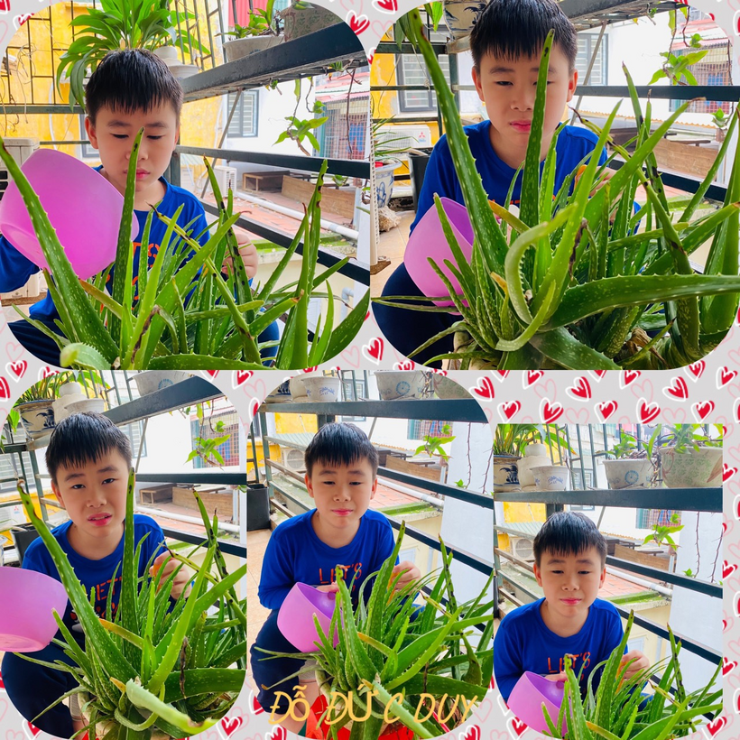 C:\Users\Administrator\Pictures\tết trồng cây 4D\18.jpg