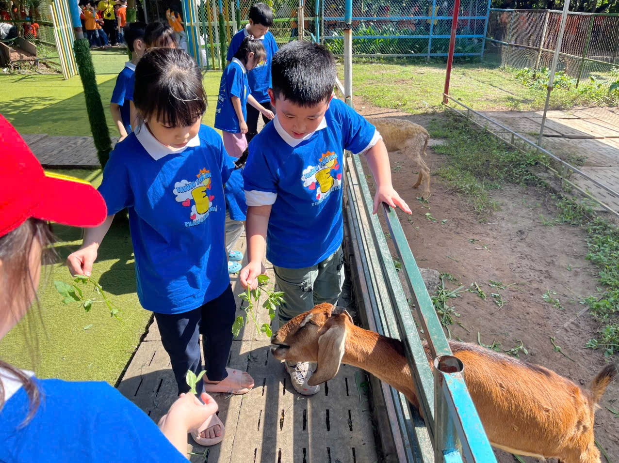A group of kids feeding a goat

AI-generated content may be incorrect.