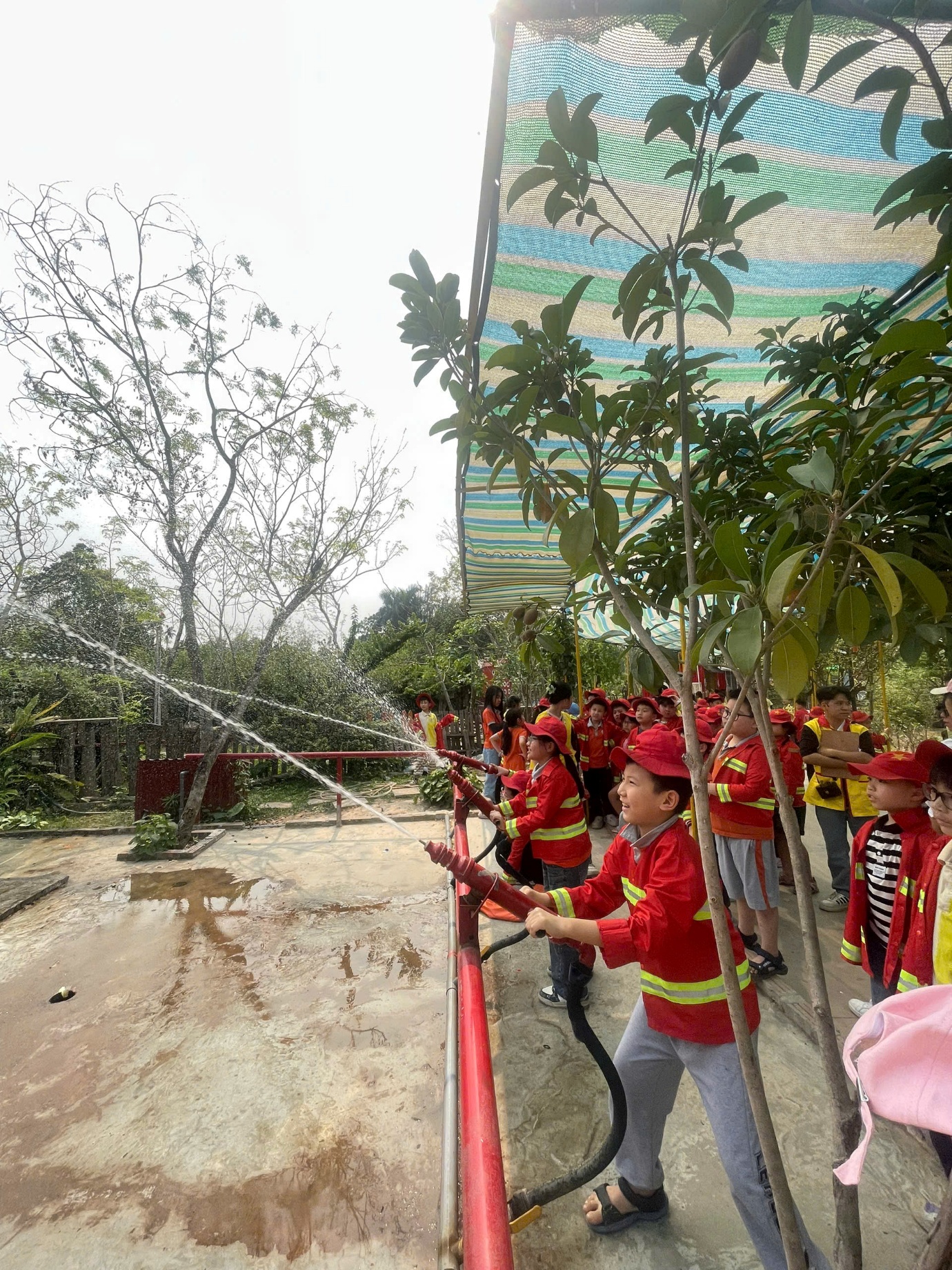 Ảnh có chứa ngoài trời, trang phục, cây cối, bầu trời

Nội dung do AI tạo ra có thể không chính xác.